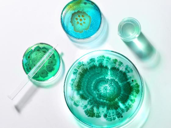 Four petri dishes filled with green and blue mold or bacterial cultures, along with a clear pipette and a vial, are arranged on a white surface—highlighting innovative approaches in green chemistry under bright lighting.