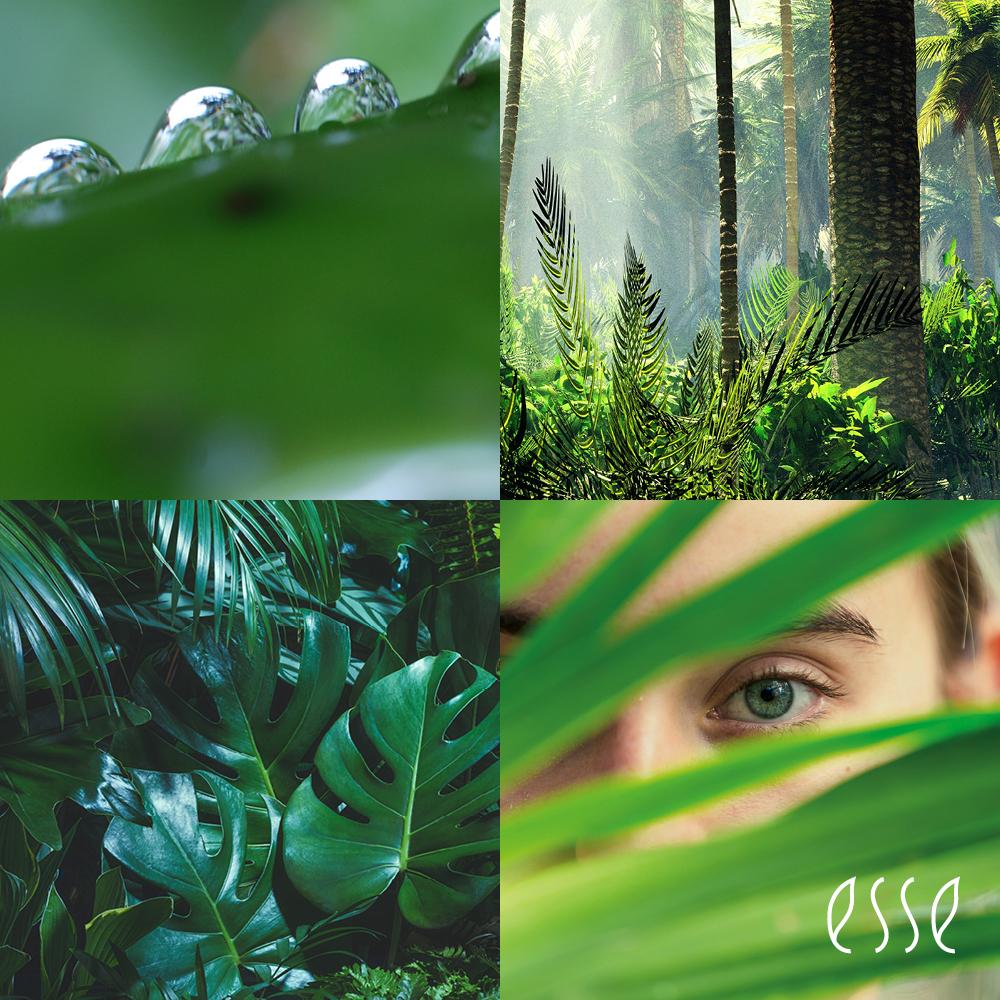 A collage with water droplets on a leaf, a lush green forest, large tropical leaves, and a close-up of a person’s eye among greenery. The word "esse" appears in the lower right corner.