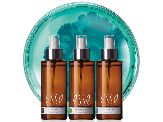Three brown spray bottles labeled "esse" stand side by side in front of a round, teal-blue decorative plate with a floral design. The bottles have white labels and dispenser tops.