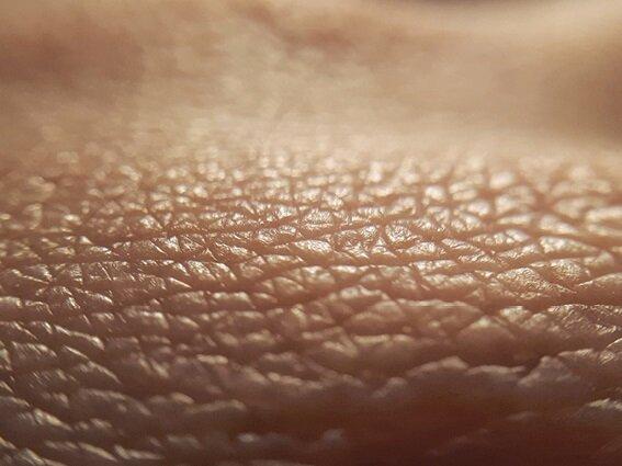Close-up image of human skin, showing fine texture, small lines, and creases with a warm, brownish tone. The intricate surface details and patterns are clearly visible.