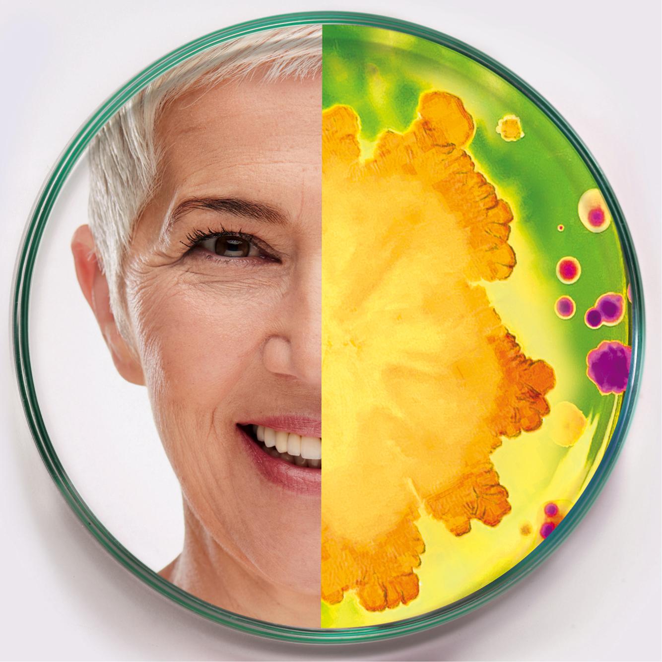 A circular image split in half: one side shows a smiling older woman’s face with short gray hair, the other side shows colorful bacterial colonies in a petri dish, suggesting a contrast between human aging and microbiology.