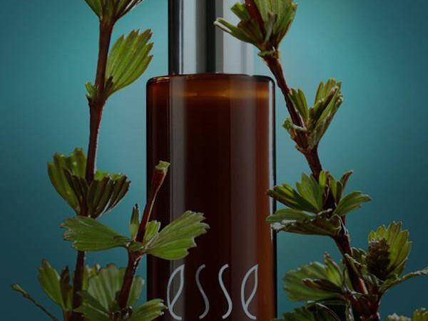 Resurrect Serum Resurrect Serum