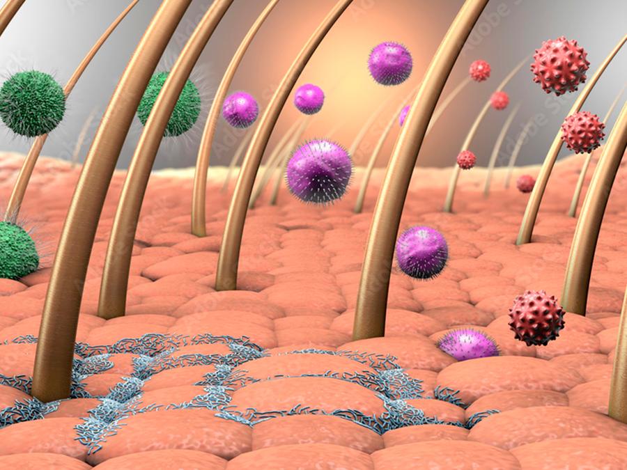 probiotics-strengthen-barrier-function