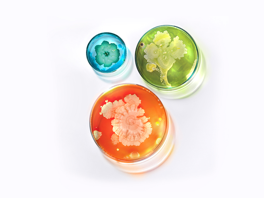 Good microbes for your skin