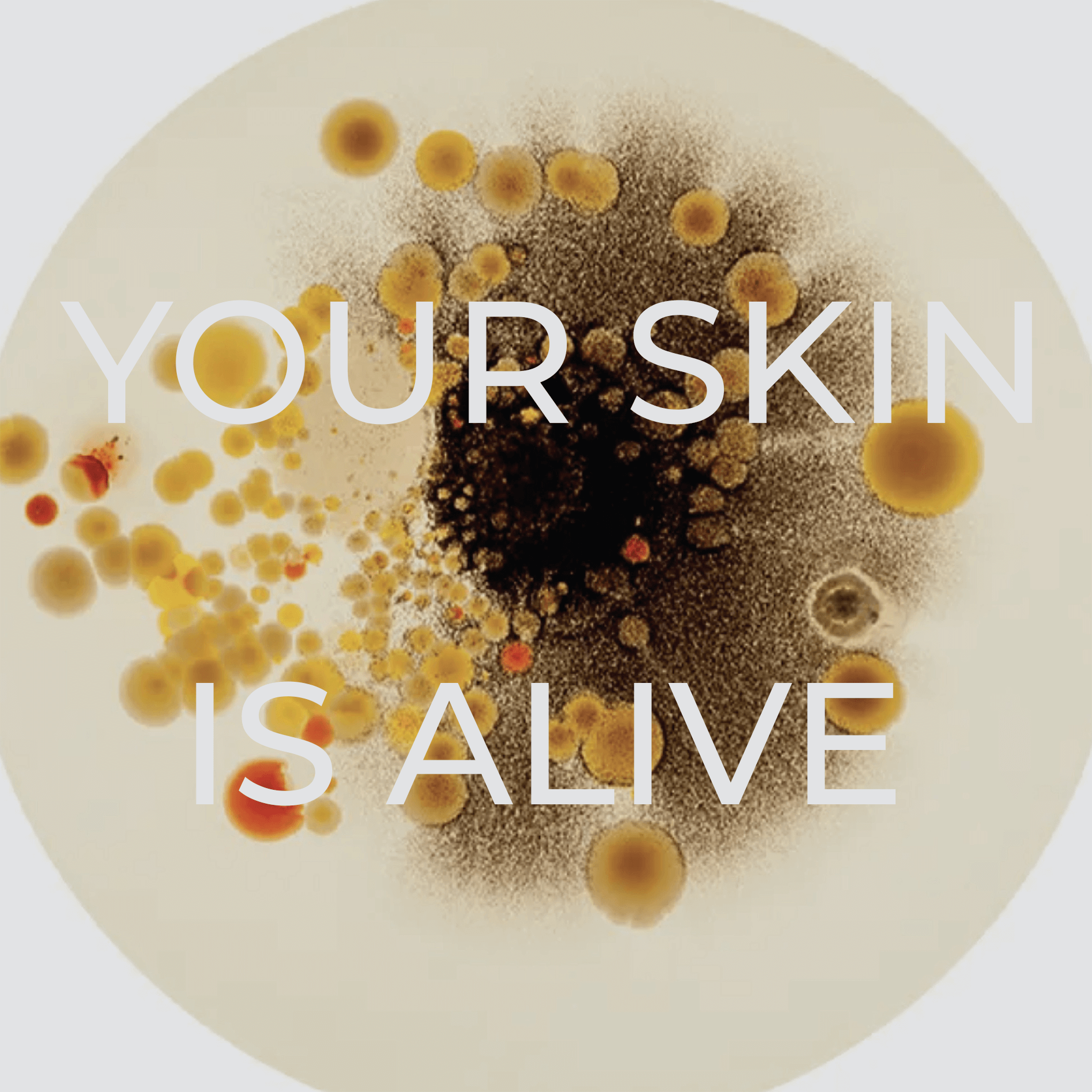 A circular colony of variously colored bacteria and fungi with the text "YOUR SKIN IS ALIVE" in large white letters across the image.