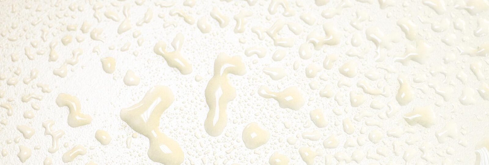 sample_biome_mist.jpg